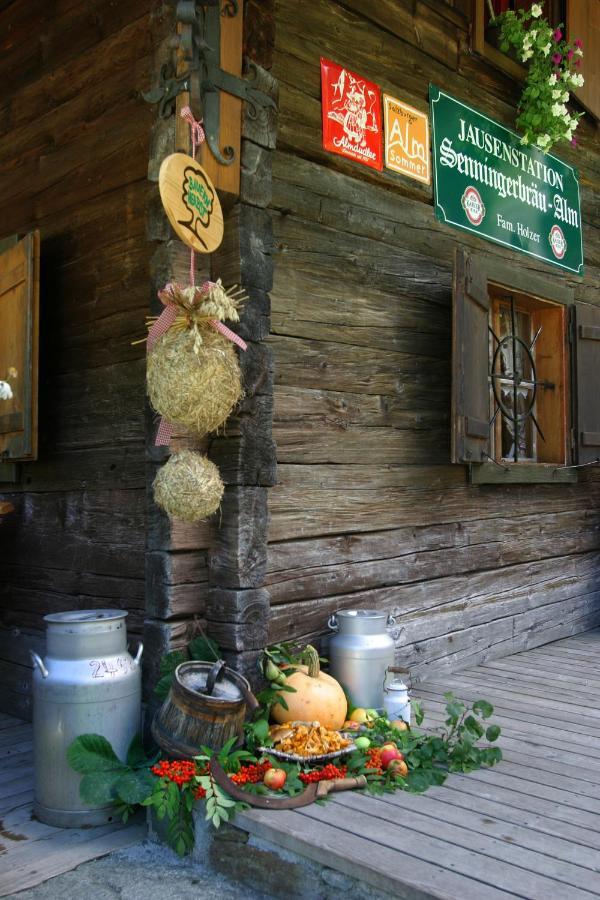 Bed and Breakfast Senninger Alm Hollersbach im Pinzgau Exteriér fotografie